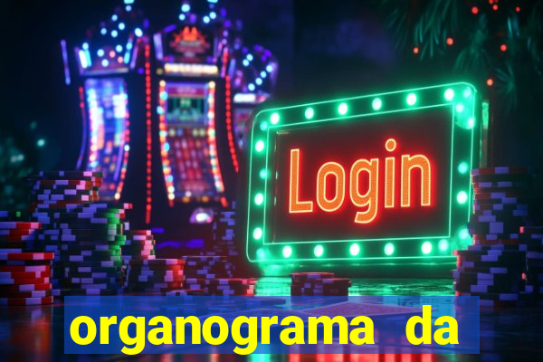 organograma da cacau show